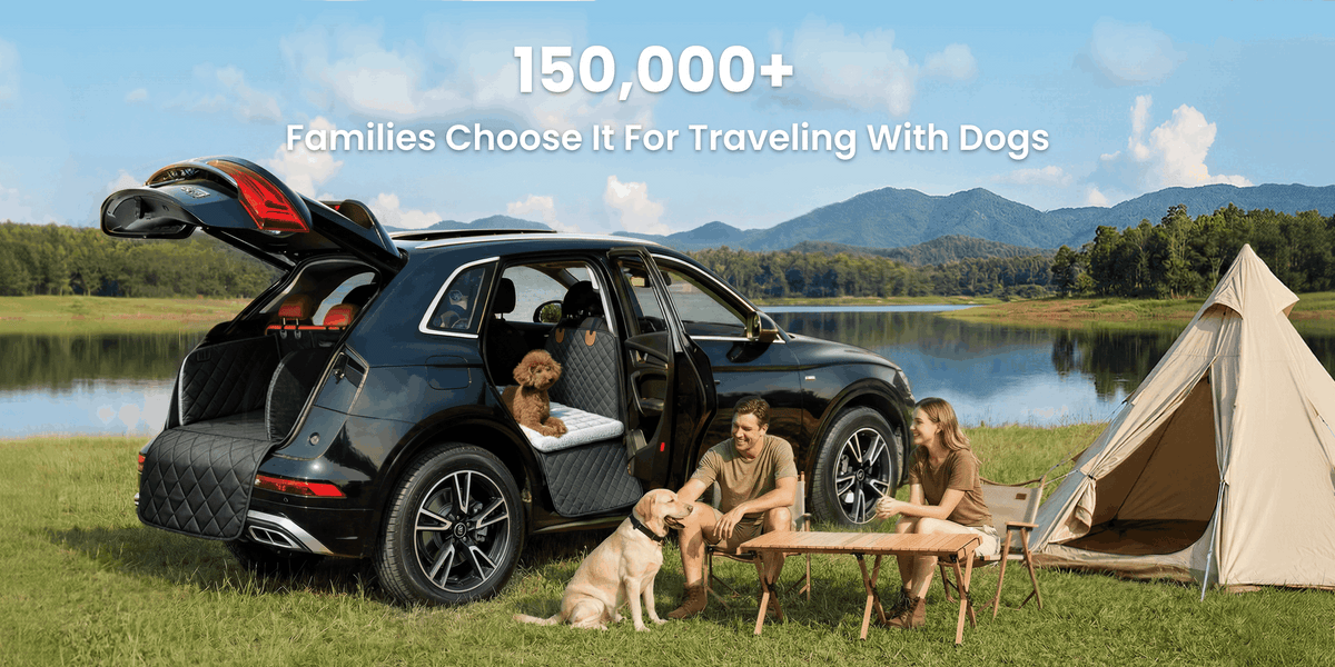 150,000+
Families Choose It For Traveling With Dogs